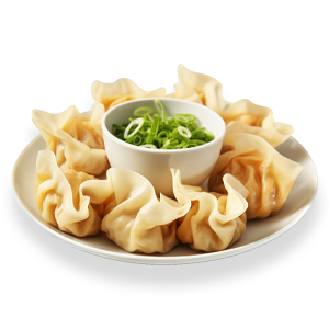 frozen wonton pack – Munchiela Karachi